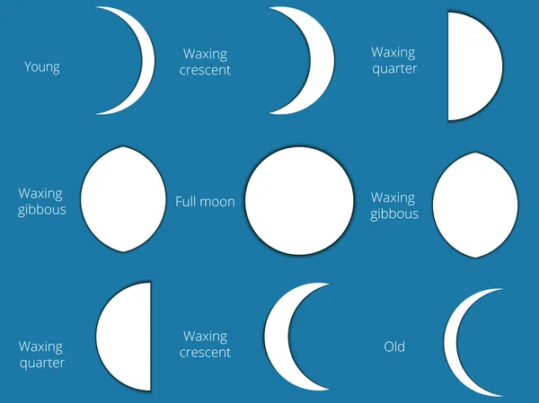 A fázisok a Hold. A teljes ciklus a new moon teljes. Vektoros illusztráció. — Stock Vector