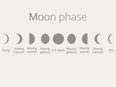 Ayın Evreleri. Tam tüm süreç new moon. Vektör çizim.