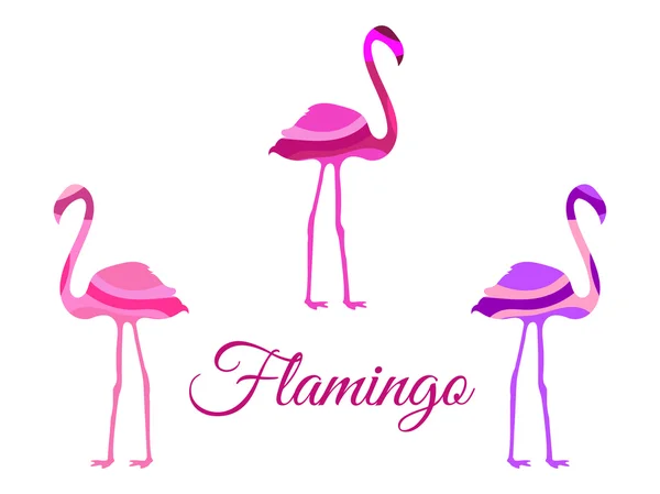 Flamingo. Flamingo isoliert. Reihe von Vektorillustrationen. — Stockvektor