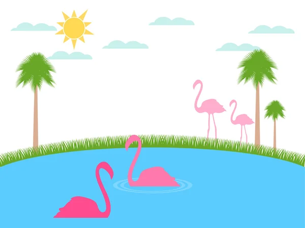 Flamingo flutua. Paisagem com flamingos, refúgio de vida selvagem. Vetor . — Vetor de Stock