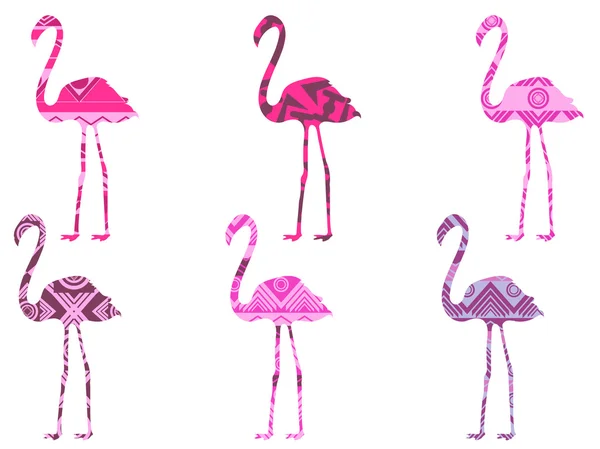 Flamingo model. Flamingo je izolovaný. Sada vektorových ilustrací. — Stockový vektor
