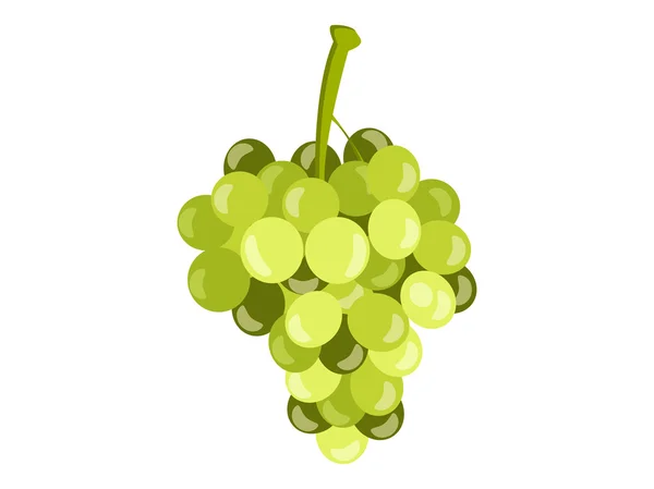 Bunch green grapes isolated on white background. Cluster of grape. Realistic grapes. Vector illustration. — Stock Vector