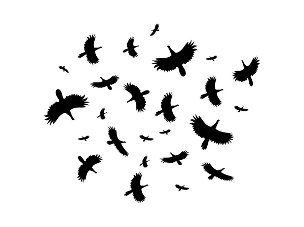 Un troupeau d'oiseaux volant en cercle sur fond blanc. Illustration vectorielle . — Image vectorielle