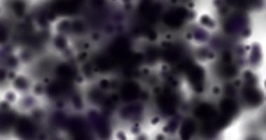 Bulanık daireler beyaz arka planda uçuşuyor. Bulanık dairelerin hareket animasyonu. Odaklanamama etkisi. Yatay bileşim, 4k video kalitesi