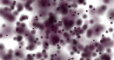 Bulanık daireler beyaz arka planda uçuşuyor. Bulanık dairelerin hareket animasyonu. Odaklanamama etkisi. Kan hücreleri. Yatay bileşim, 4k video kalitesi