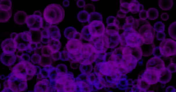 Padající Fialové Bubliny Černém Pozadí Pohybová Animace Bublin Horizontální Kompozice — Stock video