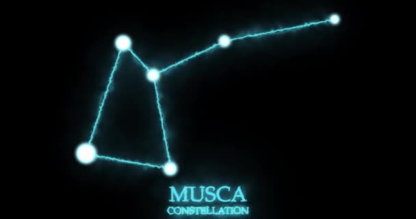 Constelação Musca Raios Luz Luz Laser Brilhando Cor Azul Estrelas — Vídeo de Stock
