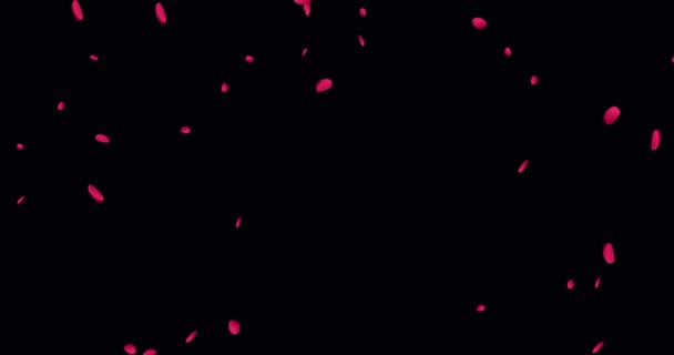Анімація Руху Кров Яних Клітин Потік Еритроцитів Молекули Гемоглобіну Чорному — стокове відео