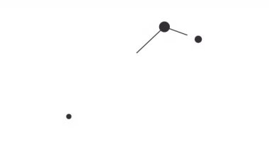 Equuleus takımyıldızı. Gece gökyüzünde yıldızlar. Takımyıldızı siyah-beyaz olarak çizilmiş sanat tarzında. Yıldızlar ve galaksiler kümesi. Yatay bileşim, 4k video kalitesi