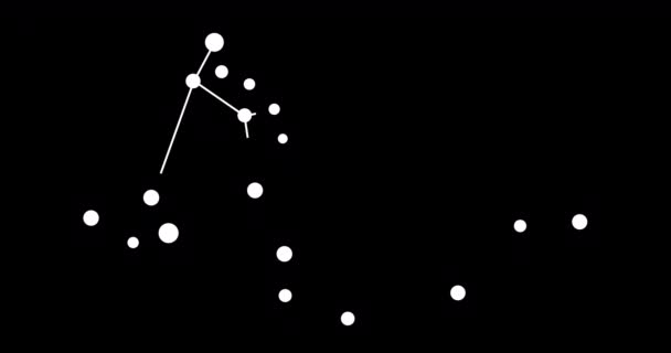 Созвездие Дракона Звезды Ночном Небе Созвездие Линейном Стиле Черно Белом — стоковое видео