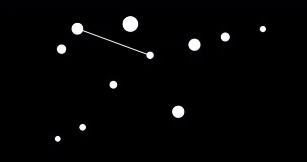 Grus Constellation Stars Night Sky Constellation Line Art Style Black — Stock Video