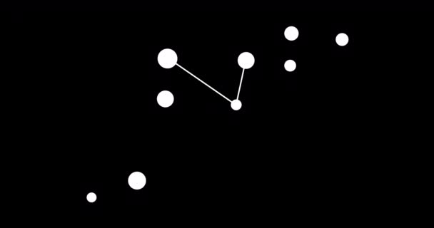Lacerta Takımyıldızı Gece Gökyüzünde Yıldızlar Takımyıldızı Siyah Beyaz Olarak Çizilmiş — Stok video
