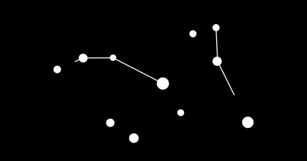 Lepus Constellation Stars Night Sky Constellation Line Art Style Black — Stock Video