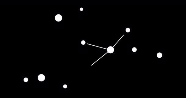 Lyra Constellation Stars Night Sky Constellation Line Art Style Black — Stock Video