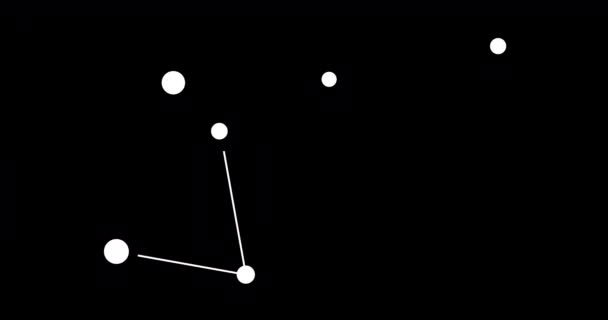 Constelação Musca Estrelas Céu Noturno Constelação Estilo Arte Linha Preto — Vídeo de Stock