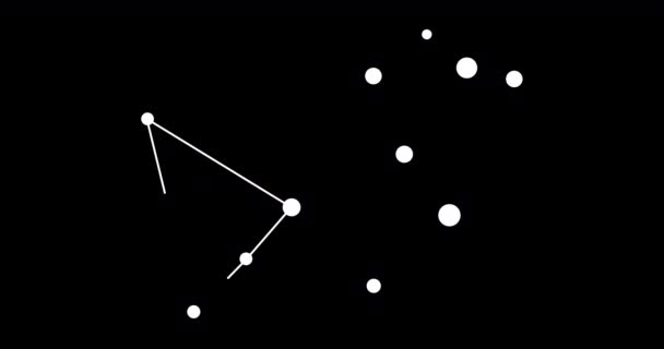 Pavo Constellation Stars Night Sky Constellation Line Art Style Black — Stock Video