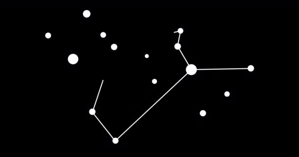 Konstelacja Phoenix Gwiazdy Nocnym Niebie Konstelacja Stylu Sztuki Linii Czerni — Wideo stockowe
