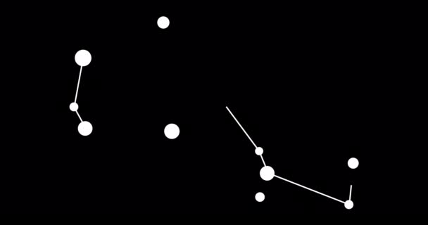 Constelação Piscis Austrinus Estrelas Céu Noturno Constelação Estilo Arte Linha — Vídeo de Stock