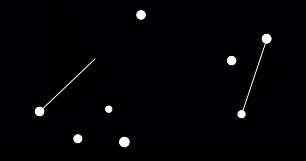 Созвездие Туканы Звезды Ночном Небе Созвездие Линейном Стиле Черно Белом — стоковое видео