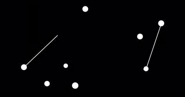 Tucana Konstellationen Stjärnor Natthimlen Konstellation Linje Konst Stil Svart Och — Stockvideo