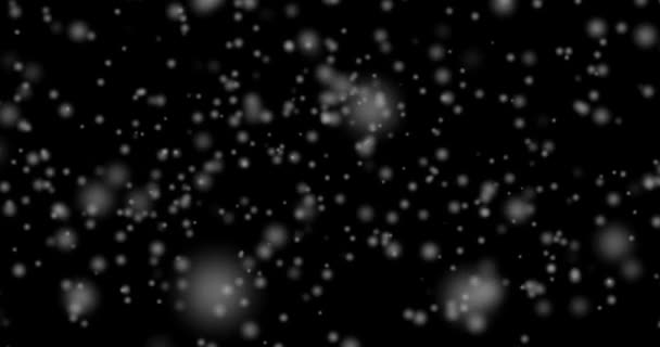 White Blurred Circles Bokeh Flying Black Background Motion Animation Blurred — Stock Video