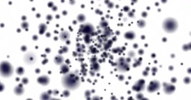 Siyah bulanık halkalar beyaz arka planda uçuşuyor. Bulanık dairelerin hareket animasyonu. Odaklanamama etkisi. Yatay bileşim, 4k video kalitesi