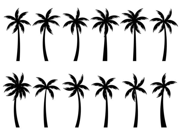 Set Van Zwarte Silhouetten Van Palmbomen Geïsoleerd Witte Achtergrond Grote — Stockvector