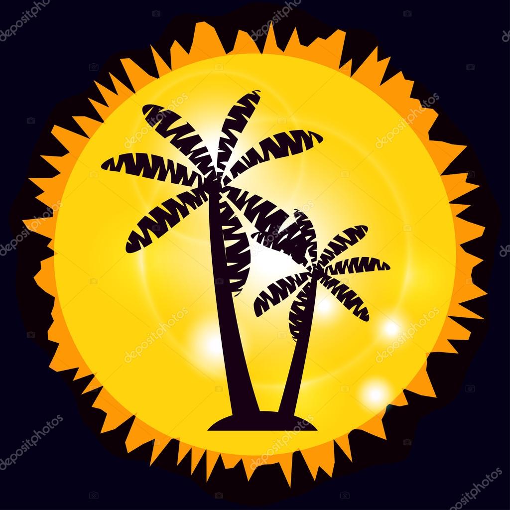 Palm trees on the island. Palm trees on the background of the Sun.