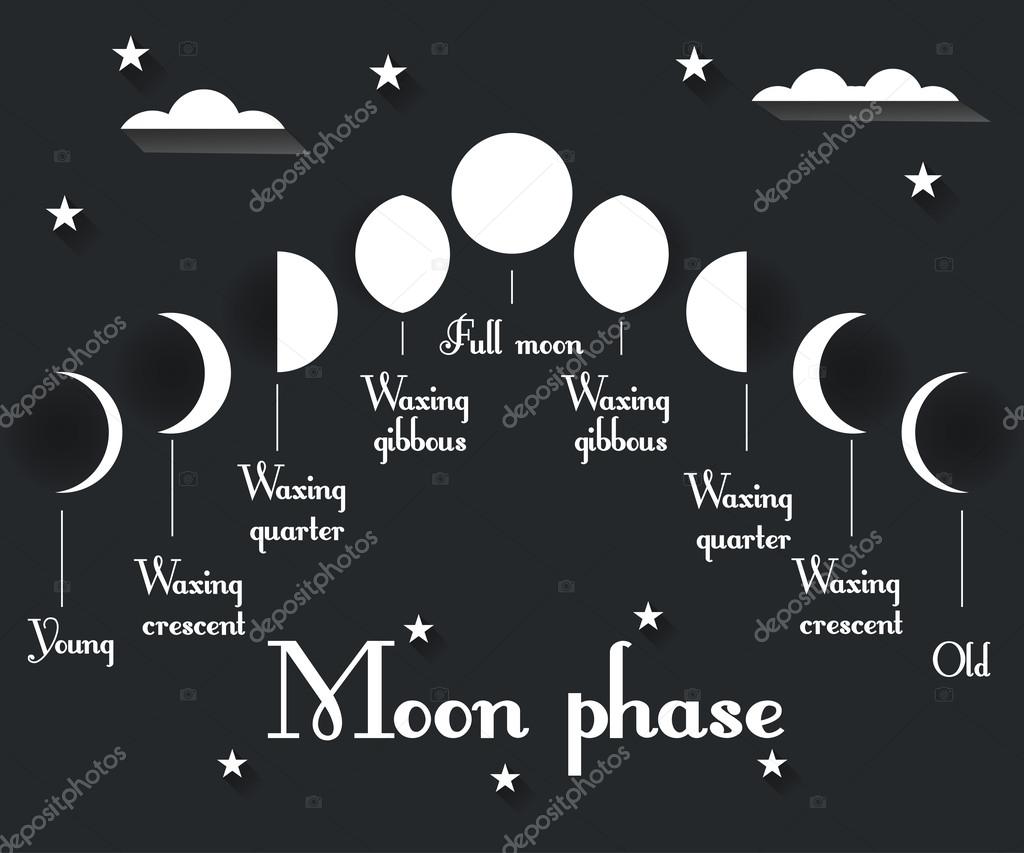 The phases of the moon. Vector illustration. Stock Vector Image by