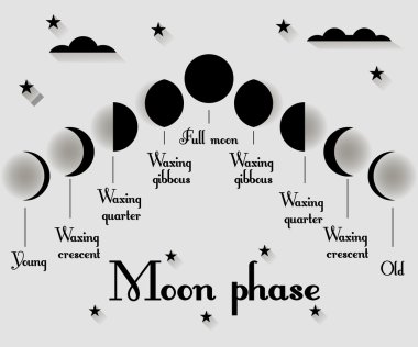The phases of the moon. Vector illustration. clipart