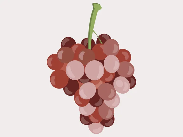 Uvas. Bando de uvas. Ilustração vetorial . — Vetor de Stock