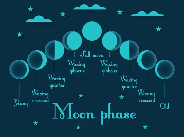 Las fases de la luna. Ilustración vectorial . — Vector de stock