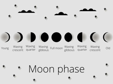 The phases of the moon. Vector illustration. clipart