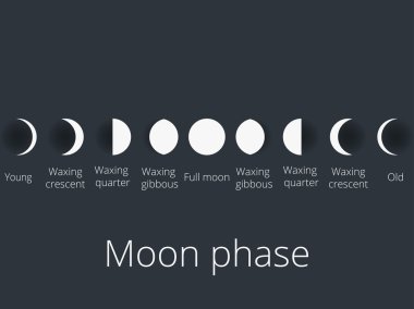 Ayın Evreleri. Tam tüm süreç new moon. Vektör çizim.