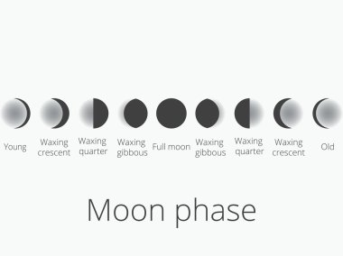 Ayın Evreleri. Tam tüm süreç new moon. Vektör çizim.