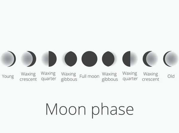 Les phases de la lune. Tout le cycle de la nouvelle lune à la pleine. Illustration vectorielle . — Image vectorielle
