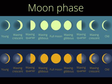 Ayın Evreleri. Tam tüm süreç new moon. Vektör çizim.