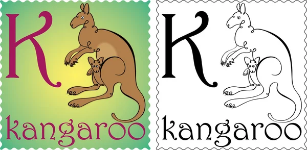 Zoo-Alphabet-Känguru — Stockvektor
