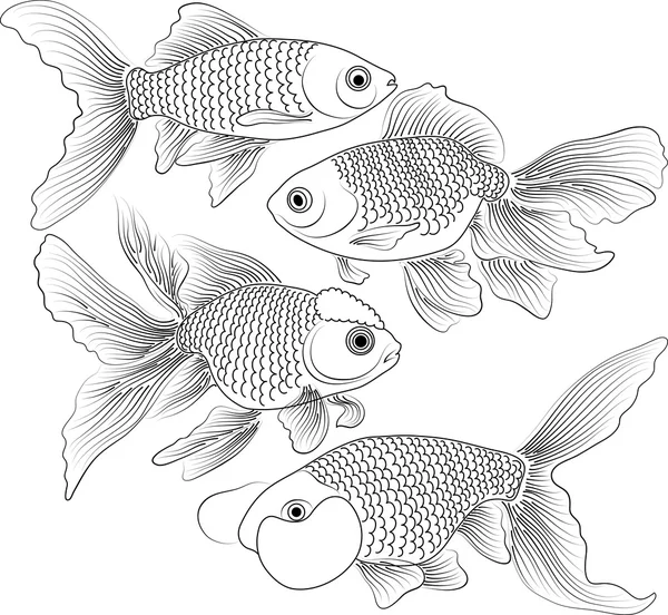 Zwart-wit goldfishes — Stockvector