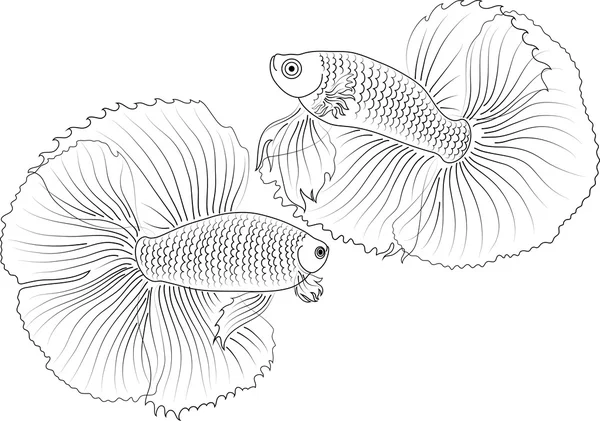 Akvarijní ryby černá — Stockový vektor