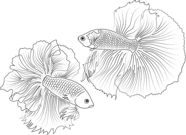 Акваріумних риб чорного — стоковий вектор