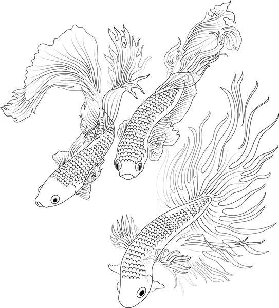 Acuario pescado negro — Archivo Imágenes Vectoriales