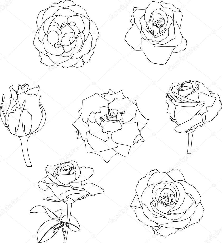 Lé Petit 4 White Rose Box – linfinirose
