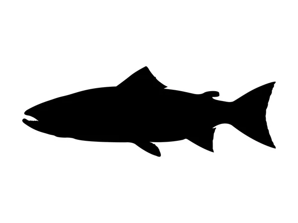 Atlantische zalm silhouet — Stockvector