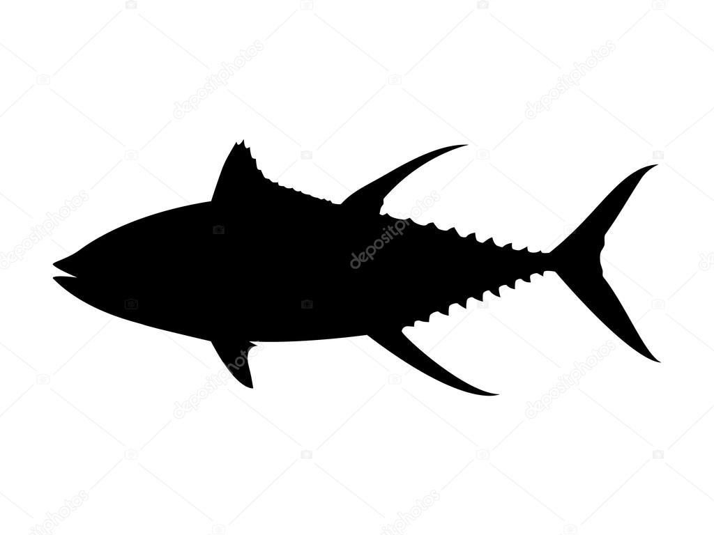 Yellowfin tuna silhouette. Vector illustration.