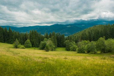 Carpatian dağlar yaz saati görünümlerde manzara