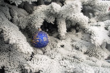 Bir Noel ağacı ve bir parlak b dalı kar ile kaplı