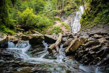 Karpat derin orman şelale. Ukrayna, Europe.