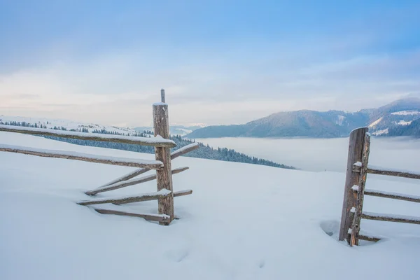 Vackert vinterlandskap med snötäckta träd — Stockfoto