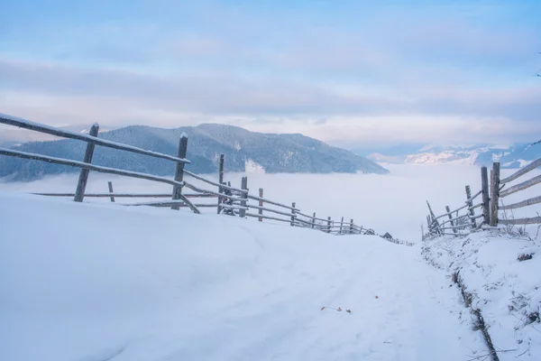 Vackert vinterlandskap med snötäckta träd — Stockfoto